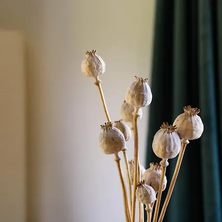 Casa vacanze Gezellig Ingericht Op De Veluwe