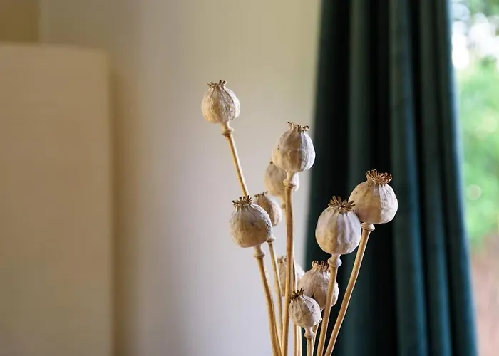 度假居 Gezellig Ingericht Op De Veluwe