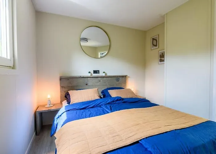 Gezellig Ingericht Op De Veluwe